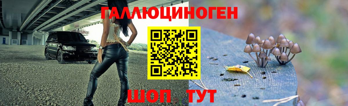 Псилоцибиновые грибы прущие грибы  Вход с VPN  Псилоцибиновые грибы Cubensis  Нижний Новгород 